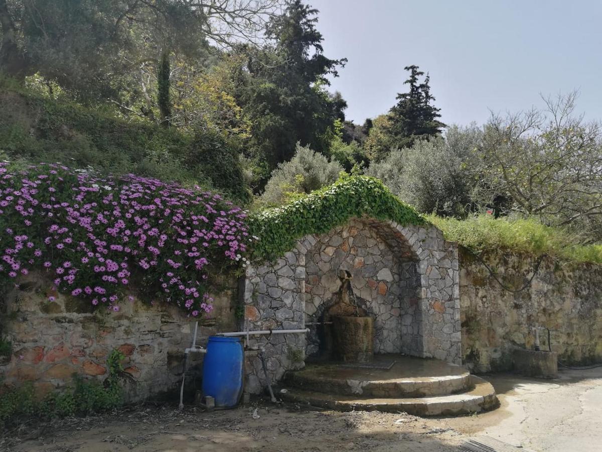 Batilas Garden House キサモス エクステリア 写真